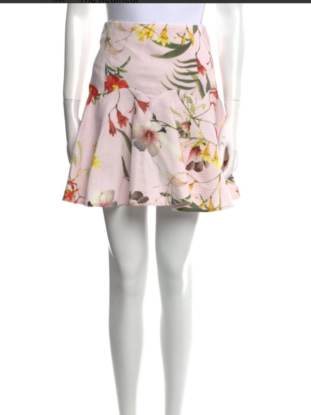 Ted Baker Whimsy Floral Mini Skirt US 6 Pleated Romantic Feminine Euro Summer